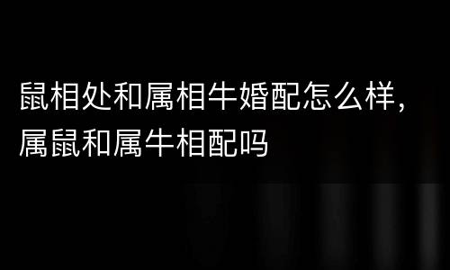鼠相处和属相牛婚配怎么样，属鼠和属牛相配吗