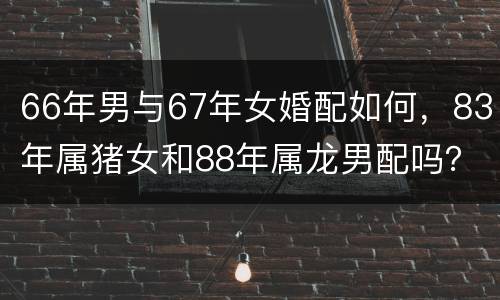 66年男与67年女婚配如何，83年属猪女和88年属龙男配吗？