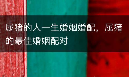 属猪的人一生婚姻婚配，属猪的最佳婚姻配对