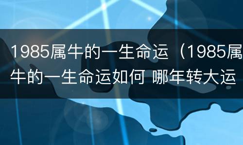 1985属牛的一生命运（1985属牛的一生命运如何 哪年转大运）