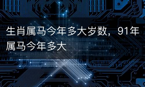 生肖属马今年多大岁数，91年属马今年多大