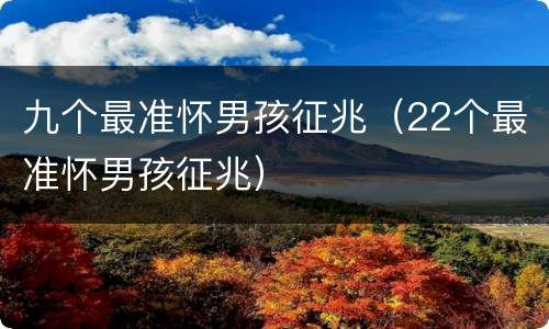 九个最准怀男孩征兆（22个最准怀男孩征兆）