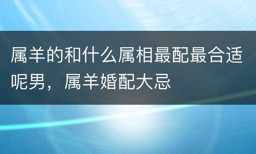 属羊的和什么属相最配最合适呢男，属羊婚配大忌