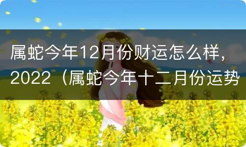 属蛇今年12月份财运怎么样，2022（属蛇今年十二月份运势）