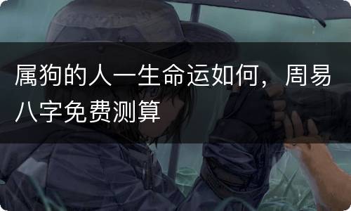 属狗的人一生命运如何，周易八字免费测算