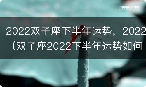 2022双子座下半年运势，2022（双子座2022下半年运势如何）