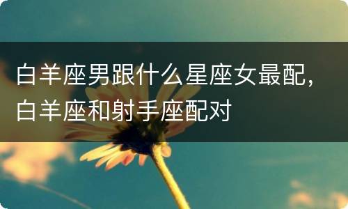 白羊座男跟什么星座女最配，白羊座和射手座配对