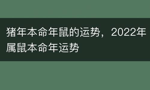 猪年本命年鼠的运势，2022年属鼠本命年运势