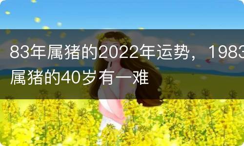 83年属猪的2022年运势，1983属猪的40岁有一难