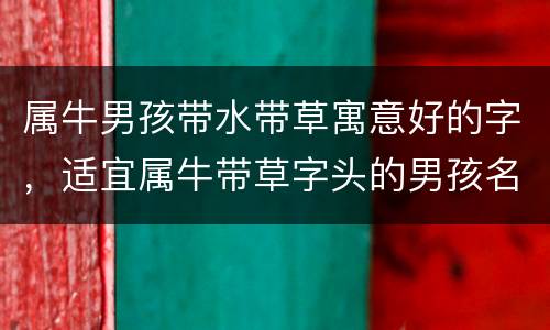 属牛男孩带水带草寓意好的字，适宜属牛带草字头的男孩名字