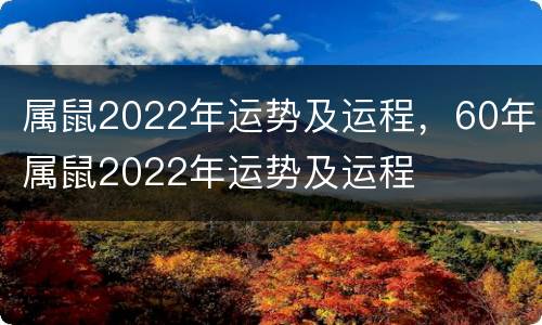 属鼠2022年运势及运程，60年属鼠2022年运势及运程