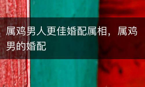 属鸡男人更佳婚配属相，属鸡男的婚配