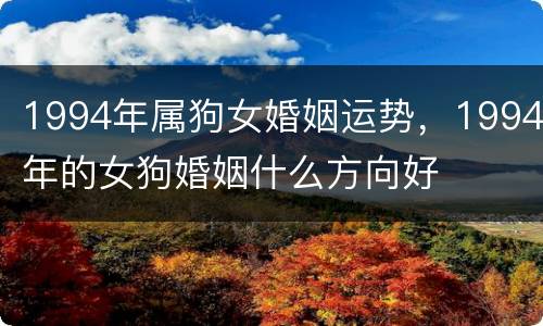 1994年属狗女婚姻运势，1994年的女狗婚姻什么方向好