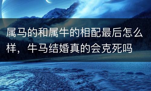属马的和属牛的相配最后怎么样，牛马结婚真的会克死吗