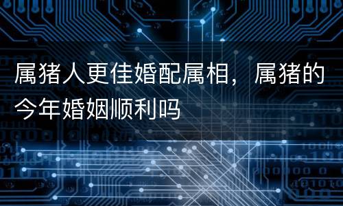 属猪人更佳婚配属相，属猪的今年婚姻顺利吗