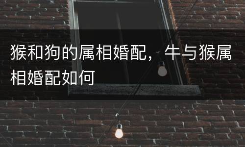 猴和狗的属相婚配，牛与猴属相婚配如何