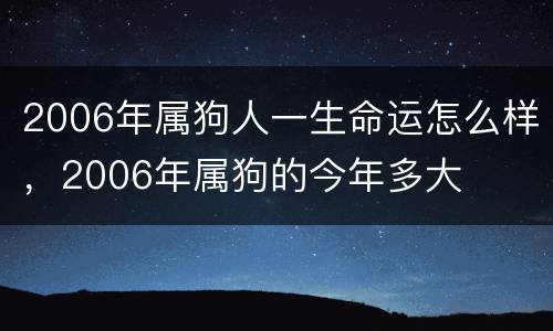 2006年属狗人一生命运怎么样，2006年属狗的今年多大