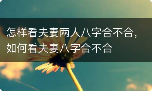 怎样看夫妻两人八字合不合，如何看夫妻八字合不合