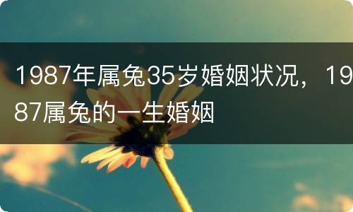 1987年属兔35岁婚姻状况，1987属兔的一生婚姻