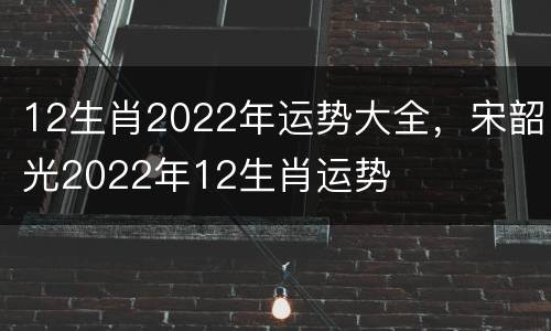 12生肖2022年运势大全，宋韶光2022年12生肖运势