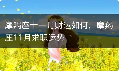 摩羯座十一月财运如何，摩羯座11月求职运势