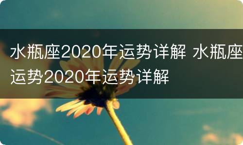 水瓶座2020年运势详解 水瓶座运势2020年运势详解