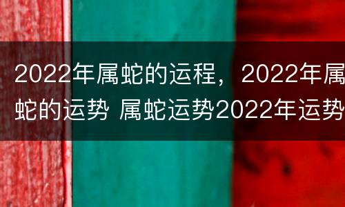 2022年属蛇的运程，2022年属蛇的运势 属蛇运势2022年运势详解