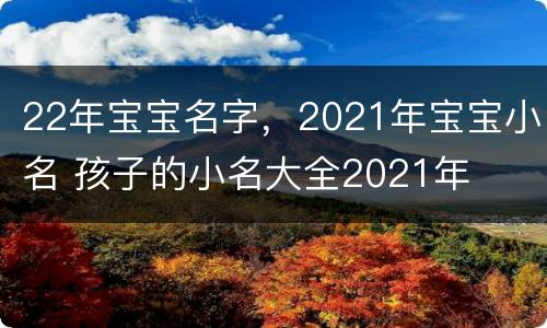 22年宝宝名字，2021年宝宝小名 孩子的小名大全2021年
