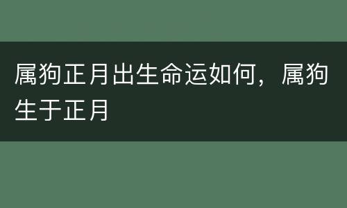 属狗正月出生命运如何，属狗生于正月