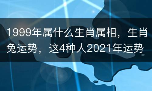 1999年属什么生肖属相，生肖兔运势，这4种人2021年运势