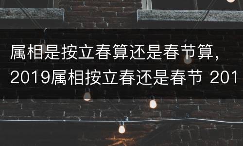 属相是按立春算还是春节算，2019属相按立春还是春节 201