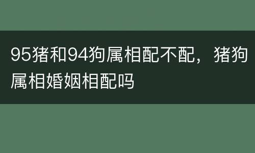95猪和94狗属相配不配，猪狗属相婚姻相配吗
