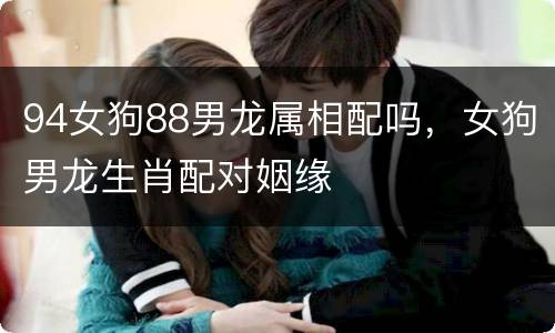 94女狗88男龙属相配吗，女狗男龙生肖配对姻缘