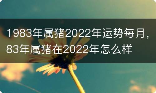 1983年属猪2022年运势每月，83年属猪在2022年怎么样
