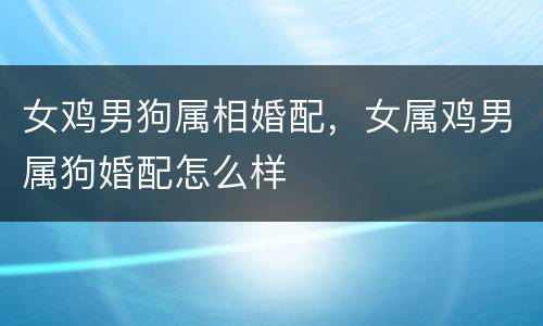 女鸡男狗属相婚配，女属鸡男属狗婚配怎么样