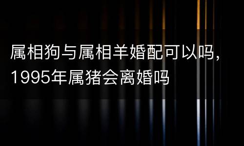 属相狗与属相羊婚配可以吗，1995年属猪会离婚吗