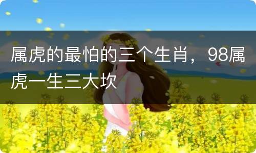 属虎的最怕的三个生肖，98属虎一生三大坎