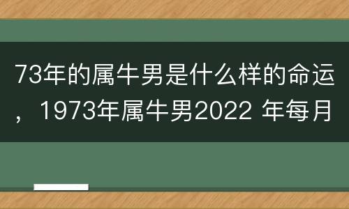 73年的属牛男是什么样的命运，1973年属牛男2022 年每月