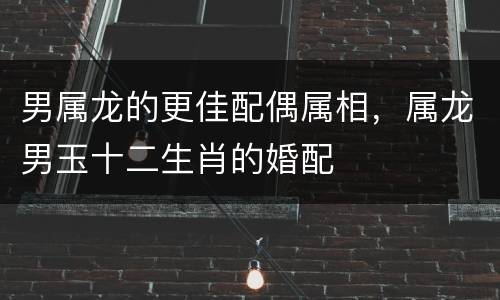 男属龙的更佳配偶属相，属龙男玉十二生肖的婚配