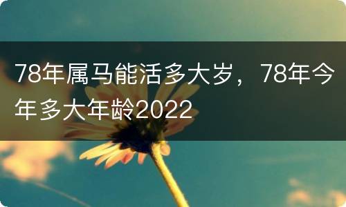 78年属马能活多大岁，78年今年多大年龄2022