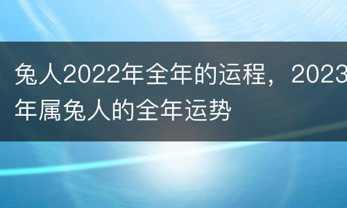 兔人2022年全年的运程，2023年属兔人的全年运势