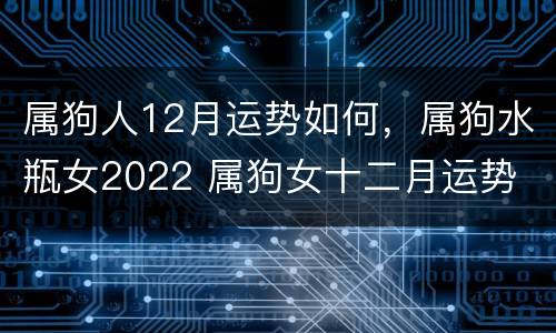 属狗人12月运势如何，属狗水瓶女2022 属狗女十二月运势