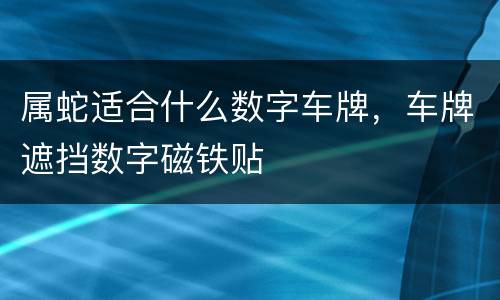 属蛇适合什么数字车牌，车牌遮挡数字磁铁贴
