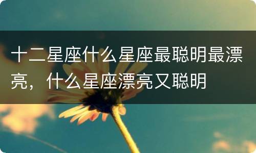 十二星座什么星座最聪明最漂亮，什么星座漂亮又聪明