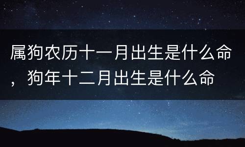 属狗农历十一月出生是什么命，狗年十二月出生是什么命