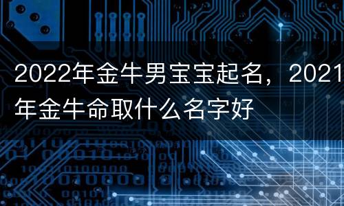 2022年金牛男宝宝起名，2021年金牛命取什么名字好
