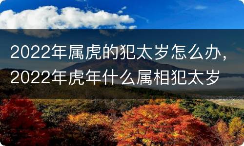 2022年属虎的犯太岁怎么办，2022年虎年什么属相犯太岁