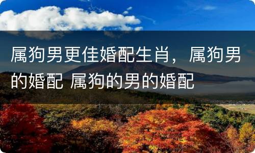 属狗男更佳婚配生肖，属狗男的婚配 属狗的男的婚配