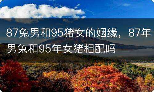 87兔男和95猪女的姻缘，87年男兔和95年女猪相配吗