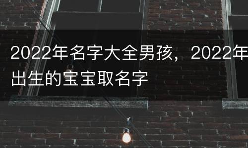 2022年名字大全男孩，2022年出生的宝宝取名字